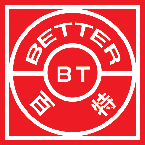 Dandong Bettersize Instruments Ltd. _logo